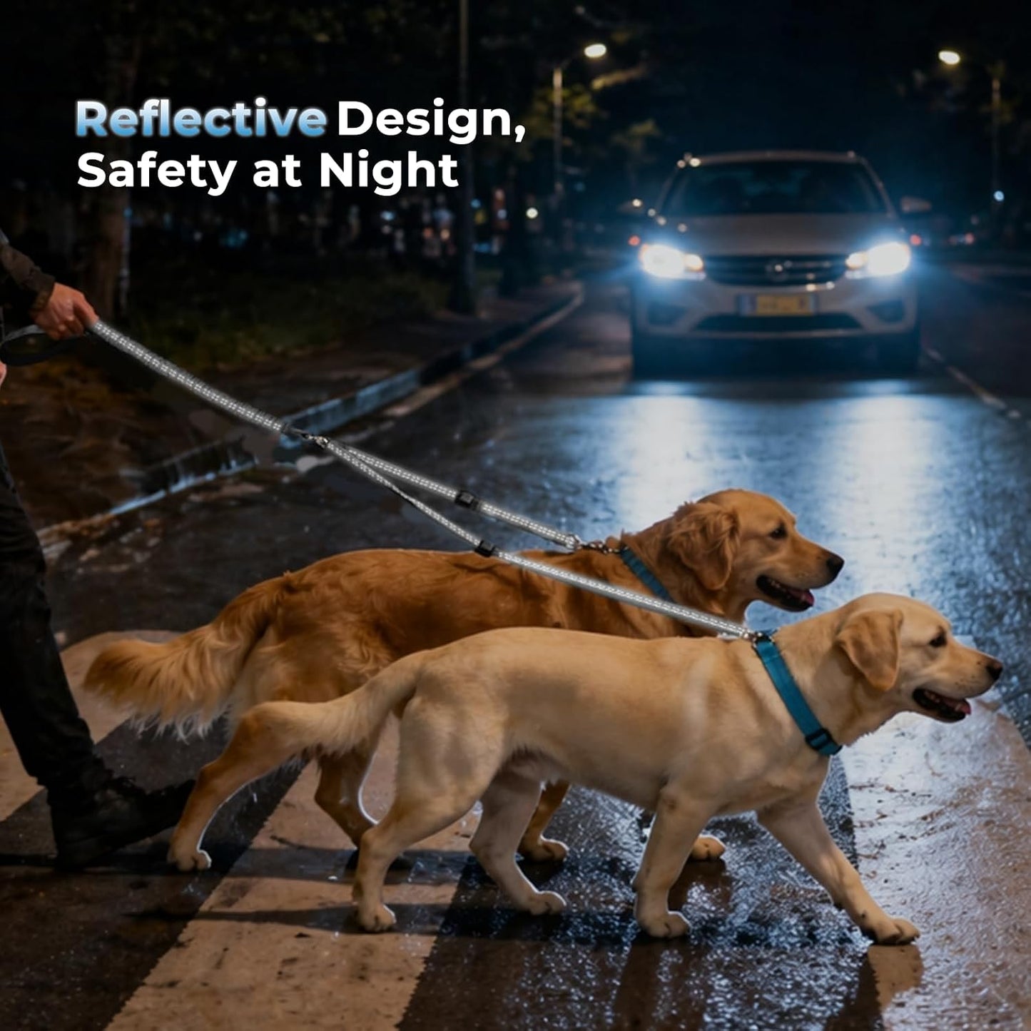 Sucegi double dog leash splitter showcasing two point control traffic handles for pet training.
