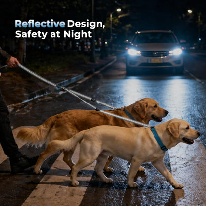 Sucegi double dog leash splitter showcasing two point control traffic handles for pet training.