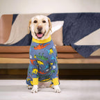 Alternative cone protective bodysuit for dogs recovering from surgery.
