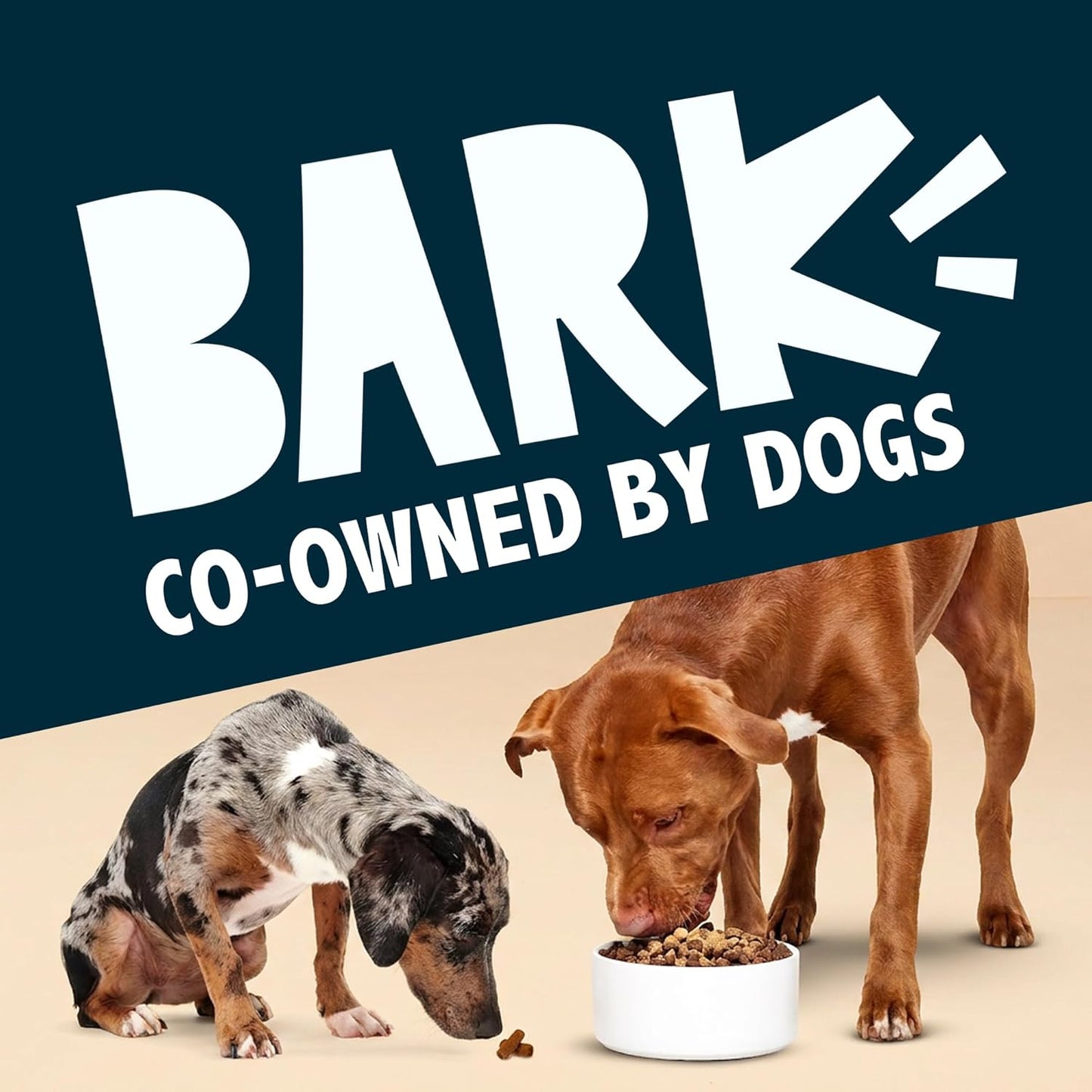 Barkbox Bada Bing dog food taste enhancer bottle close up