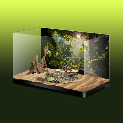 Avolander tropical jungle terrarium backdrop cloth showing realistic sunbeams filtering through dense green foliage.