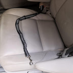 Reflective stitching detail on pet seat belt