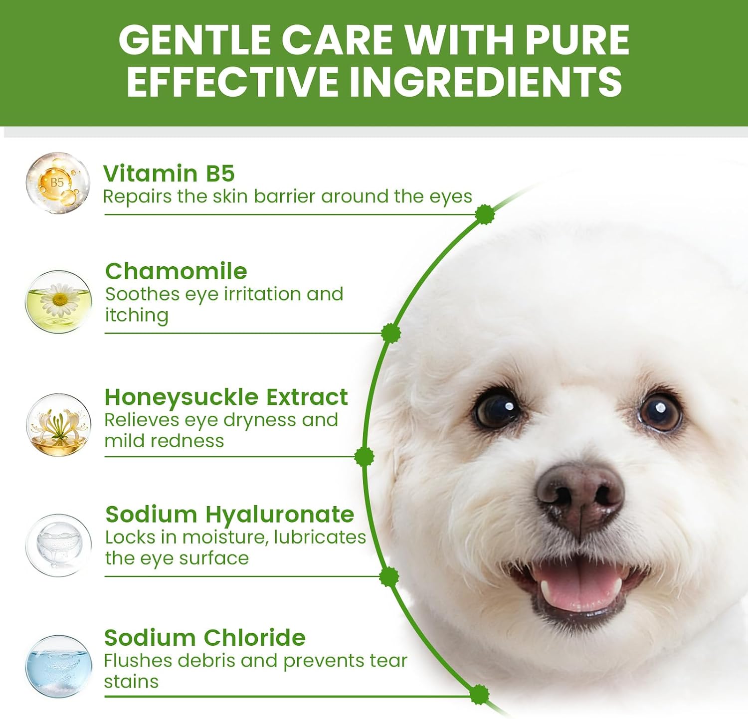 CALANDIS pet health care eye drop application illustration