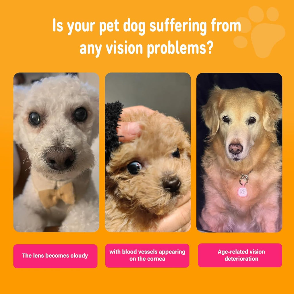 Close up of the back label detailing directions for dog eye health chews