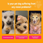 Close up of the back label detailing directions for dog eye health chews