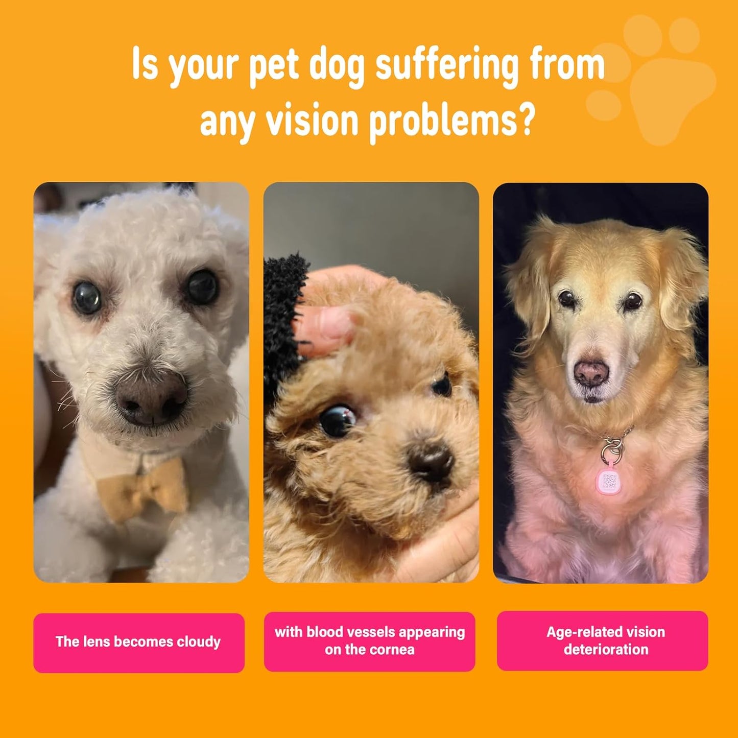 Close up of the back label detailing directions for dog eye health chews