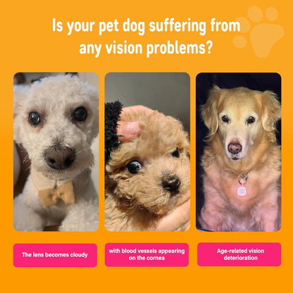 Close up of the back label detailing directions for dog eye health chews