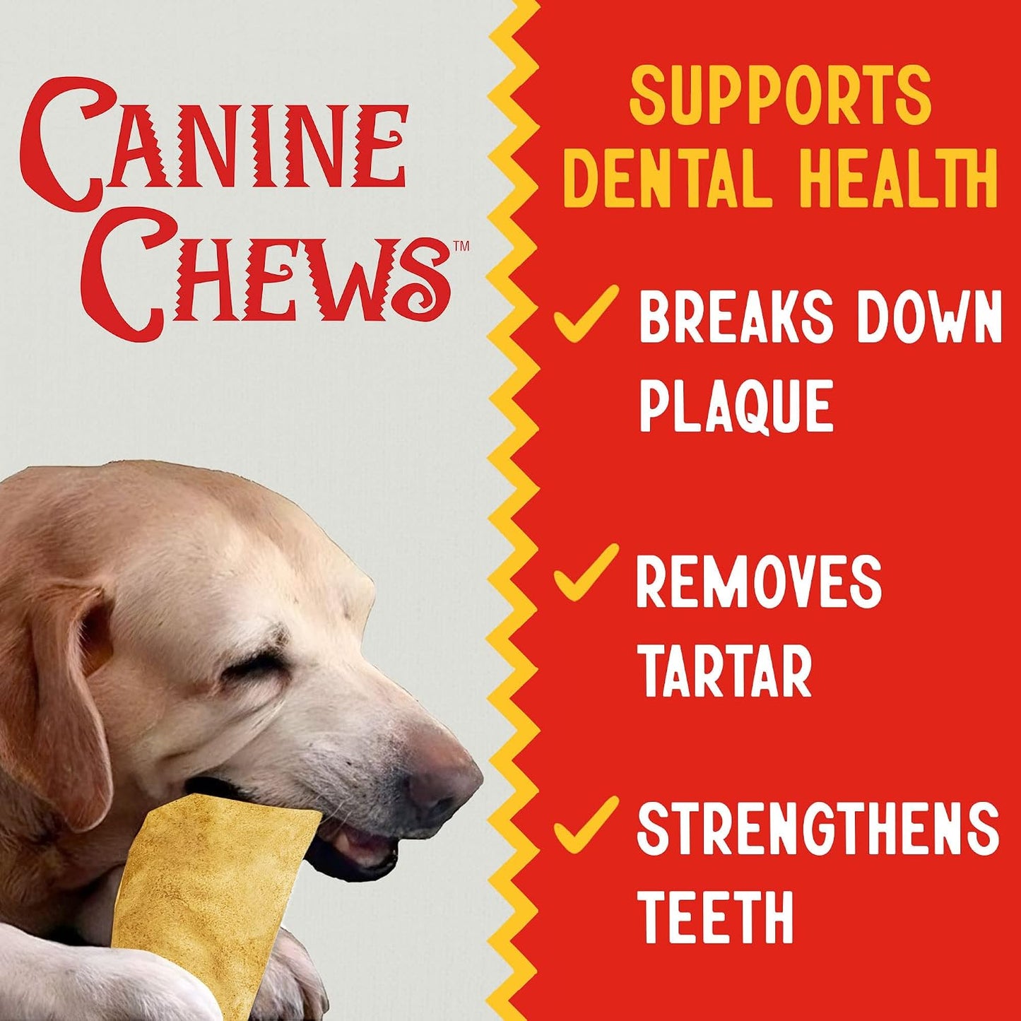 Canine Chews premium dental dog treats packaging side angle view
