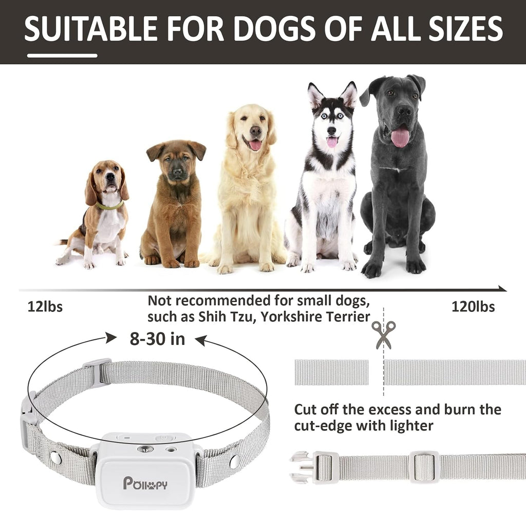 Poiiopy dog training collar receiver with battery indicator light