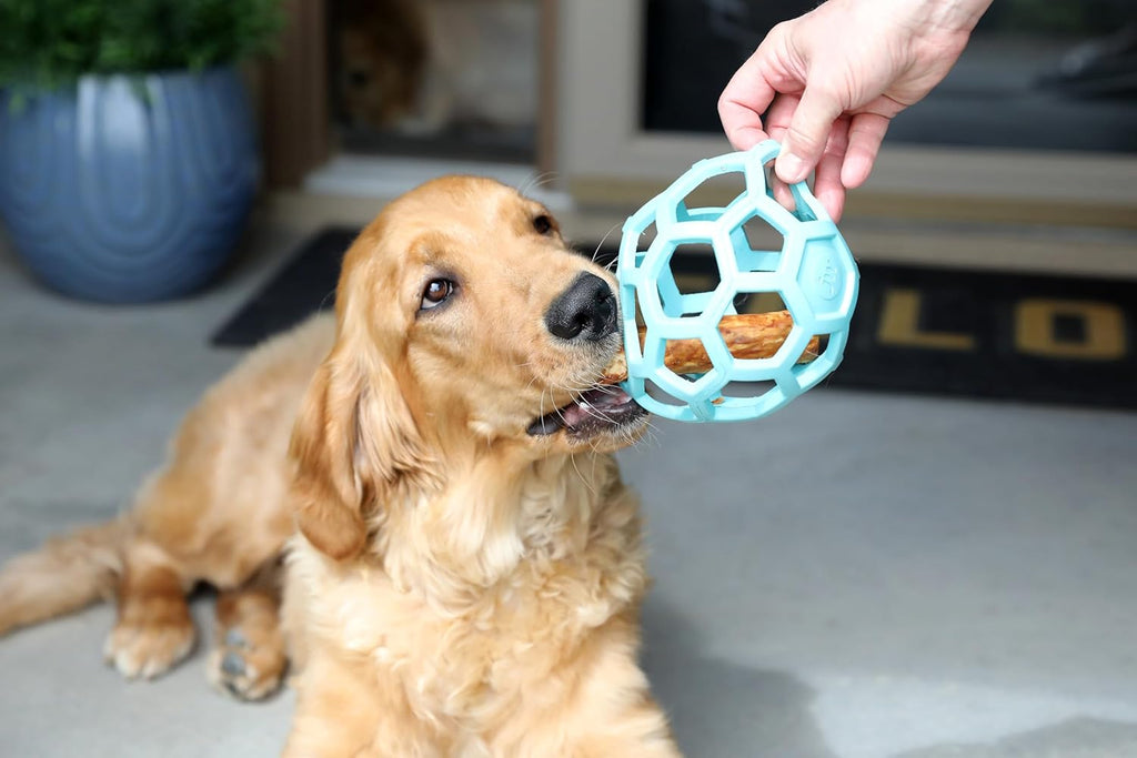 JW Pet Hol-ee Roller used for indoor dog fetch activity