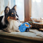 Flexi classic cord leash in blue box packaging