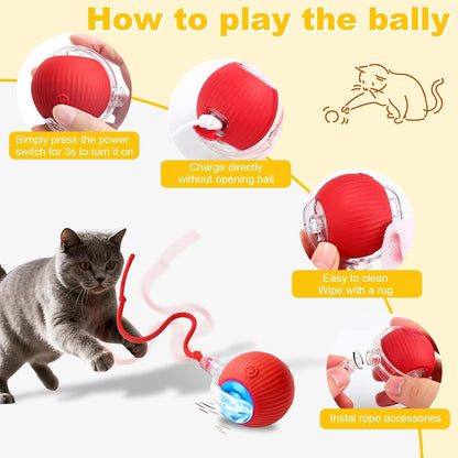 Petayouj pet activity gadget showing fast charging capability and speed settings.