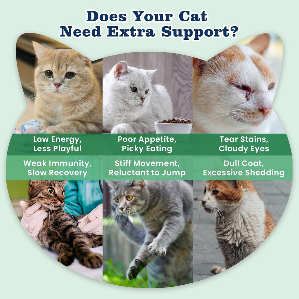 PLBKCTS 500 count cat daily supplement tub for immune and joint health support
