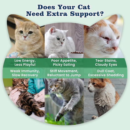 PLBKCTS 500 count cat daily supplement tub for immune and joint health support
