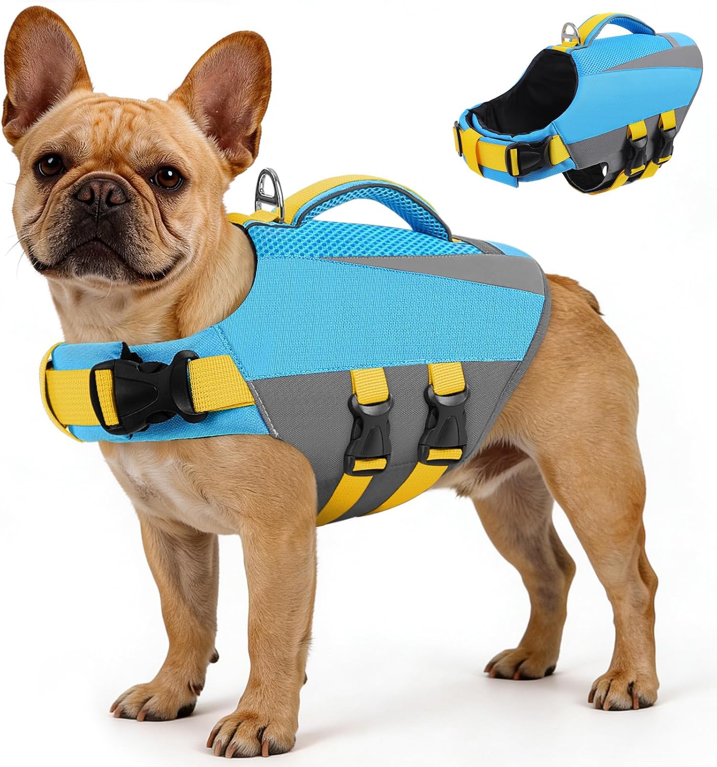 Queenmore dog life vest front view on a medium breed