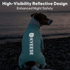 Small breed dog wearing blue Kyeese sun shirt walking