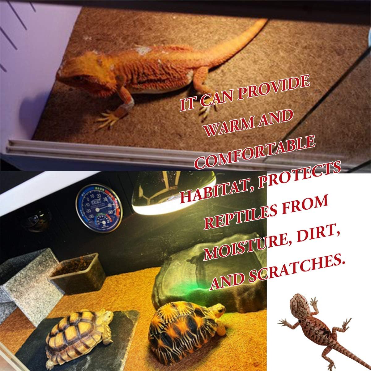 Bearded dragon habitat substrate display