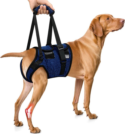 SlowTon Dog Lift Harness - Adjustable Dog Sling for Medium Large Dogs, Hind Leg Support to Help Rehabilitate, Soft Padded Dog Support Harness for Elderly, Injured, Arthritic, Disabled Dogs, XL - Image 11