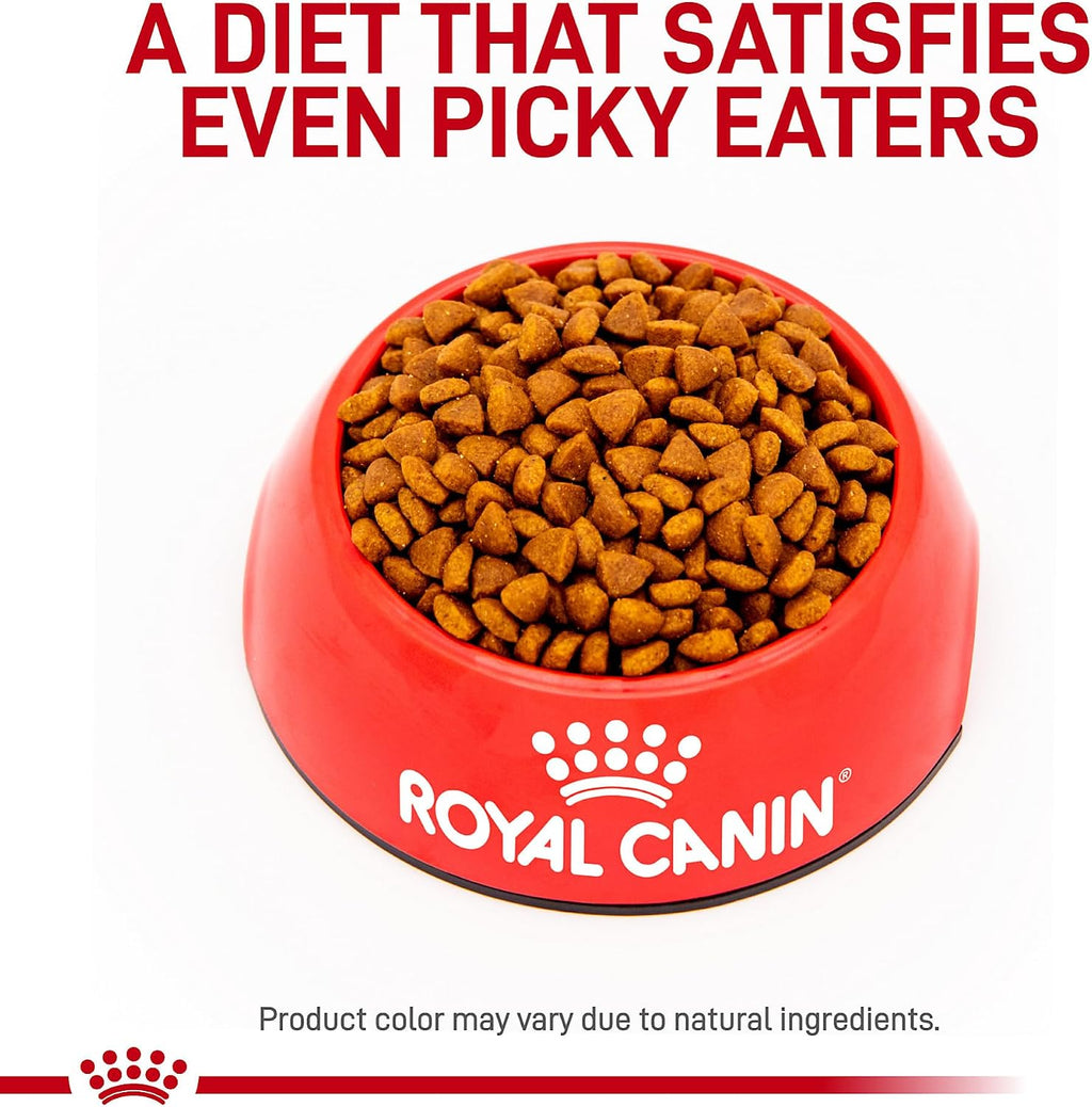 Royal Canin Gastrointestinal Puppy dry kibble formula 22 pound bag highlighting digestive support benefits
