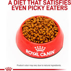 Royal Canin Gastrointestinal Puppy dry kibble formula 22 pound bag highlighting digestive support benefits