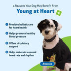 Pet Wellbeing Young at Heart for Dogs - Senior Heart Health Support, Cardiovascular Wellness with Hawthorn & Motherwort - NASC Certified & Vet-Formulated - 2 oz Liquid Formula - Image 9