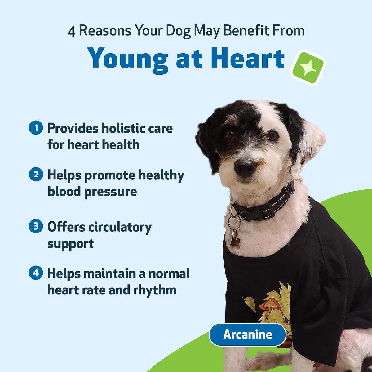 Pet Wellbeing Young at Heart for Dogs - Senior Heart Health Support, Cardiovascular Wellness with Hawthorn & Motherwort - NASC Certified & Vet-Formulated - 2 oz Liquid Formula - Image 9