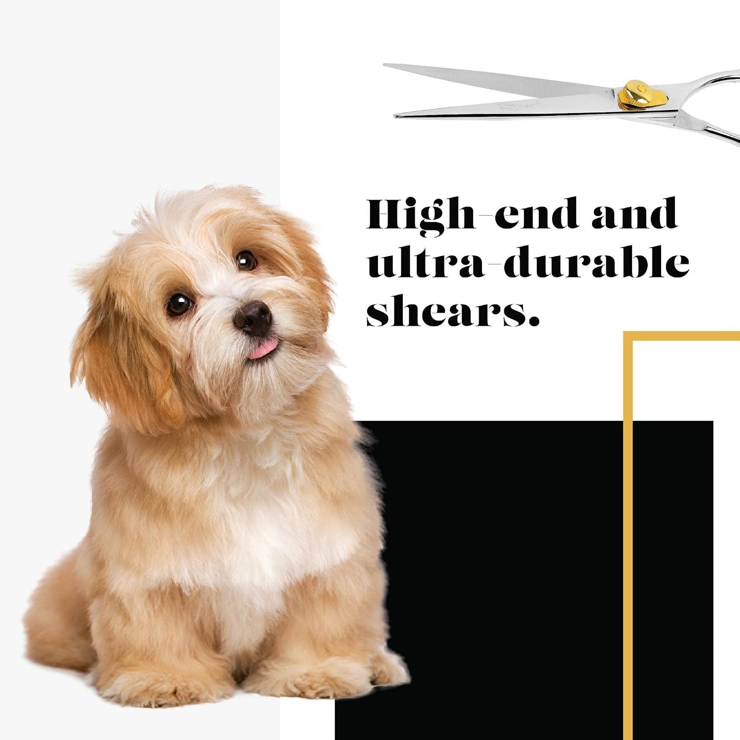 Sharf Gold Touch grooming shear inside protective case