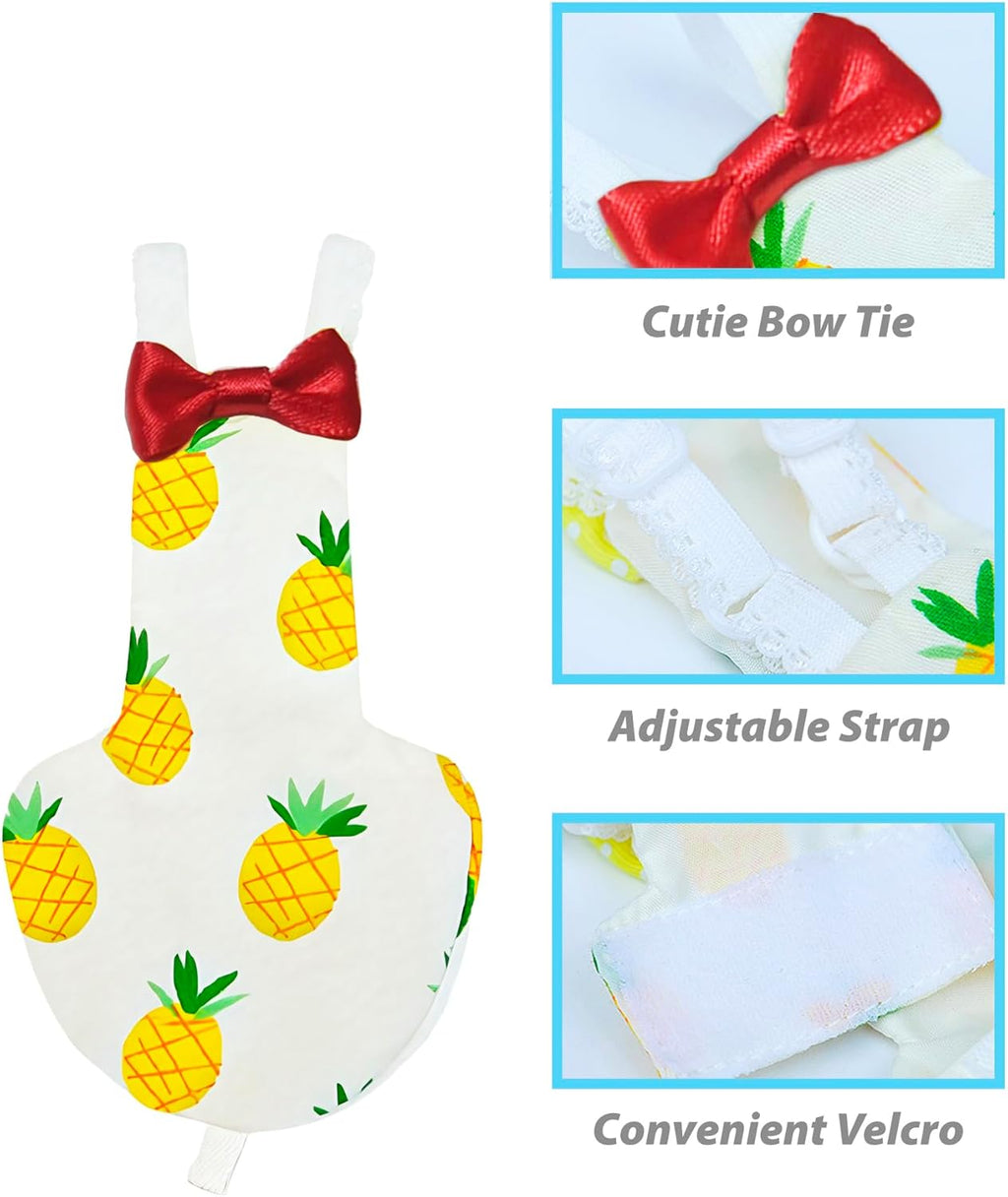 Two pack bird diapers laid out flat on surface