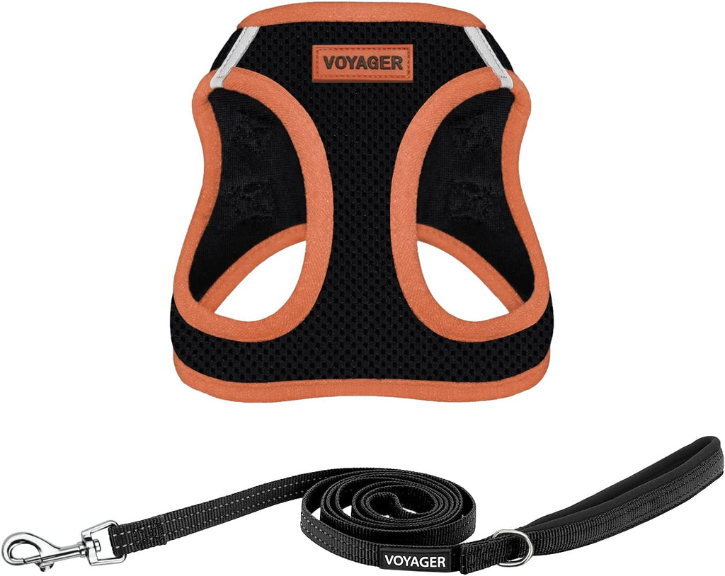 Best Pet Supplies Voyager Step-in Air All Weather Mesh Harness and Reflective Dog 5ft Leash Combo with Neoprene Handle, for Small, Medium and Large Breed Puppies - Fuchsia, Small - Image 13