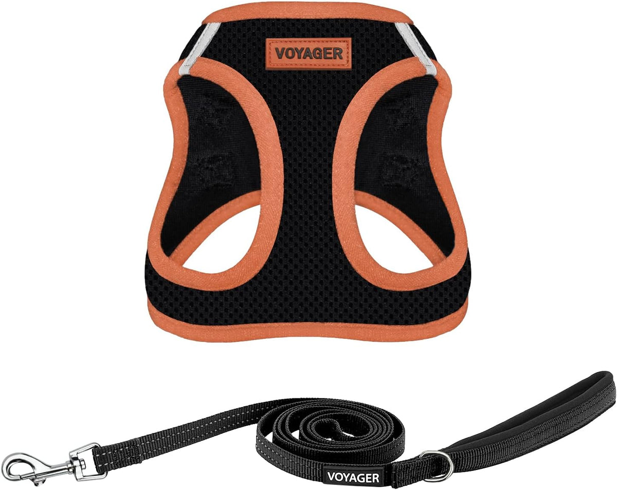 Best Pet Supplies Voyager Step-in Air All Weather Mesh Harness and Reflective Dog 5ft Leash Combo with Neoprene Handle, for Small, Medium and Large Breed Puppies - Fuchsia, Small - Image 13