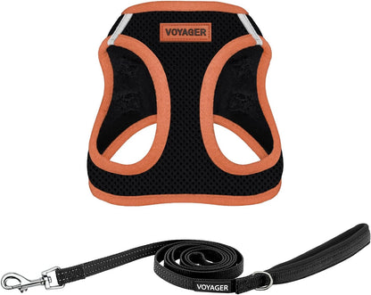 Best Pet Supplies Voyager Step-in Air All Weather Mesh Harness and Reflective Dog 5ft Leash Combo with Neoprene Handle, for Small, Medium and Large Breed Puppies - Fuchsia, Small - Image 13