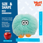 WEST PAW Rowdies Rolf Durable Plush Dog Toy with HardyTex Reinforced Seams Engaging Squeaker with Soft Cuddly Exterior Hand Sewn and Finished in Bozeman Montana for Dogs - Seafoam - Image 4
