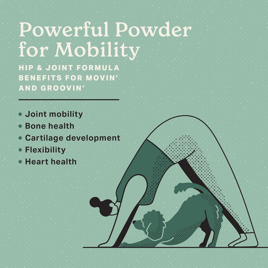 The Missing Link superfood supplement powder bag back label