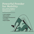 The Missing Link superfood supplement powder bag back label
