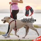 EzyDog no-pull harness displaying the reflective stitching feature.
