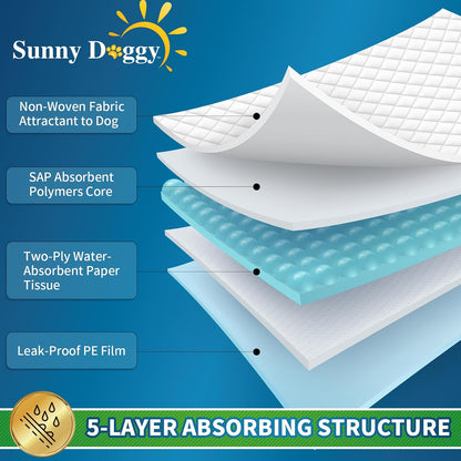 Oversized 36 by 36 inches disposable puppy training pads spread on the floor.