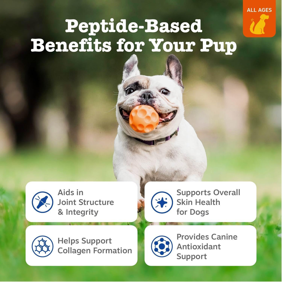 Chicken flavored dog joint supplement chews container showing product details.