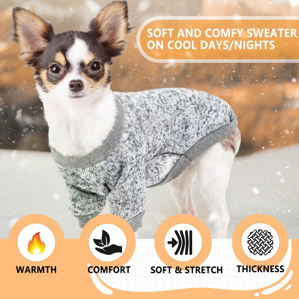 Grey winter pet outfit showing high tummy cut design