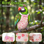 Cockatiel diaper set displaying the inner pocket for tissue liners