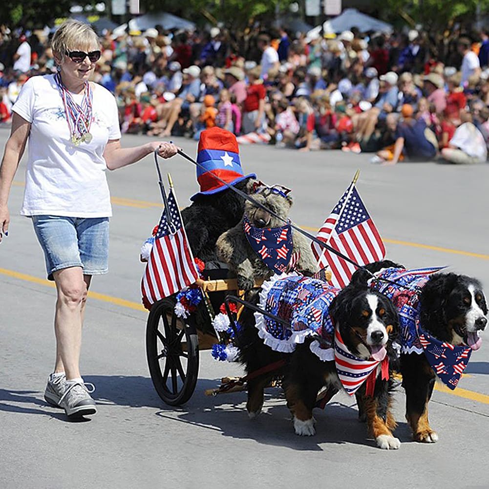 SZEE Independence Day pet bibs on a golden retriever outdoors.