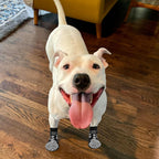 EXPAWLORER 6Pcs Anti Slip Dog Socks to Prevent Licking Paws, Dog Shoes for Hot Pavement Double Sides Dog Boots & Paw Protectors Booties for Hardwood Floors with Grip Small Medium Large Senior Dogs, S - Image 9