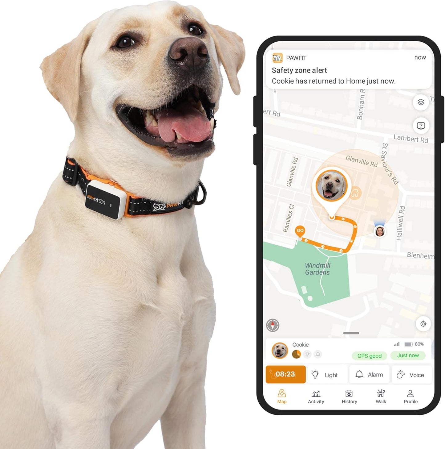 Pawfit 3 GPS Pet Tracker front view on collar
