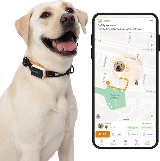 Pawfit 3 GPS Pet Tracker front view on collar