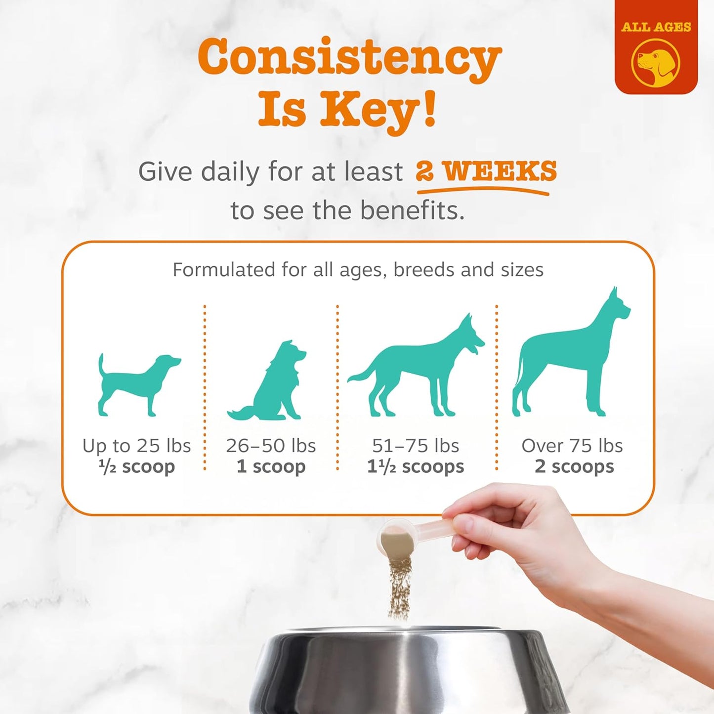 Bacon flavored dental powder for dog plaque and tartar defense