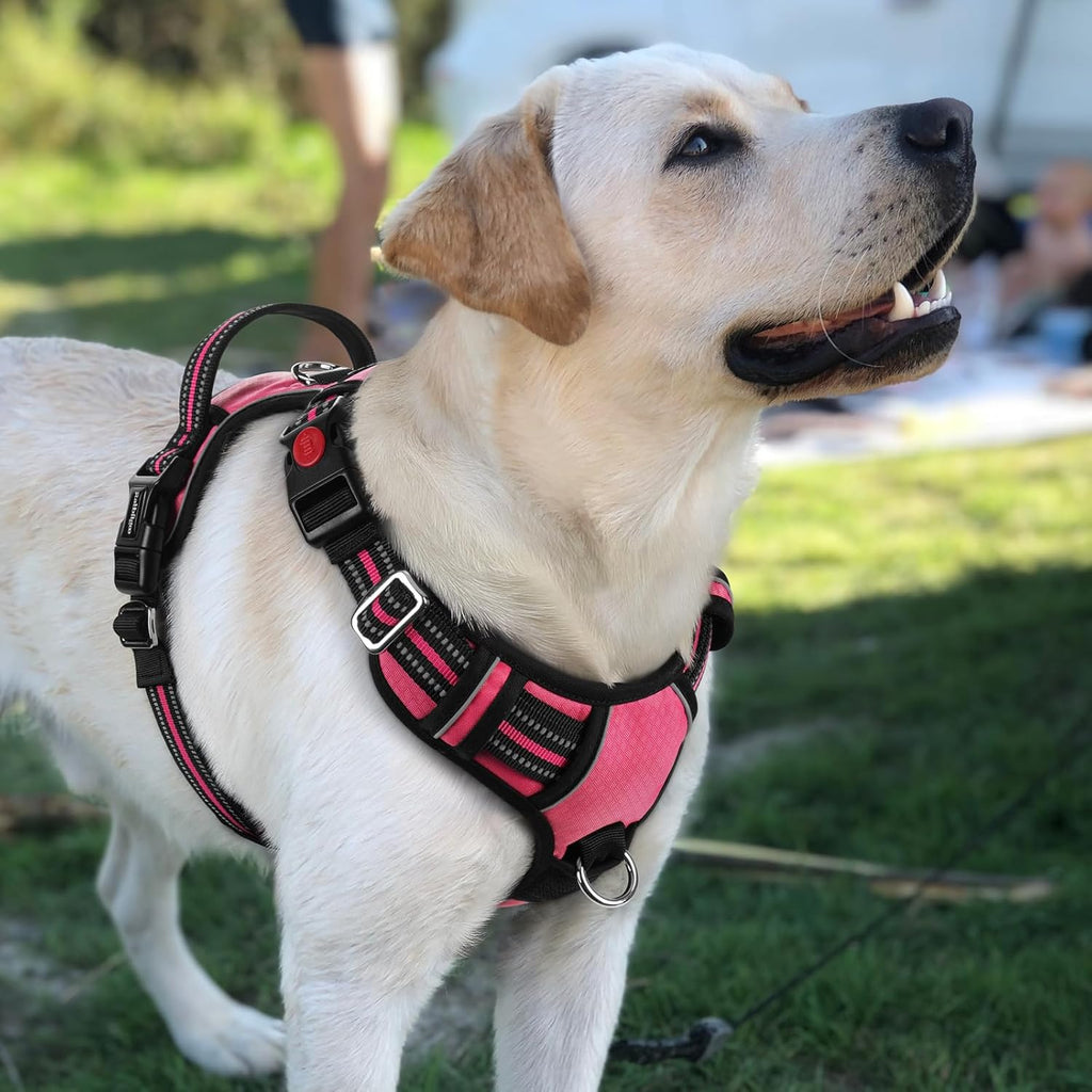 Four adjustment sliders highlighted on the premium durable Oxford fabric pet harness