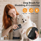 Hank undercoat deshedding brush removing loose hair from a long-haired indoor cat.