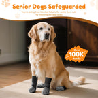 Packaging set of Pick For Life dog socks size large