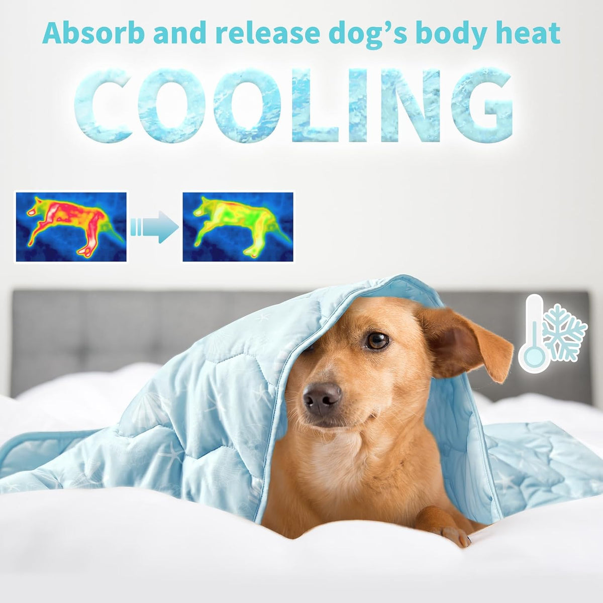 NWK Pet Cooling Mat layout highlighting the seashell and starfish pattern