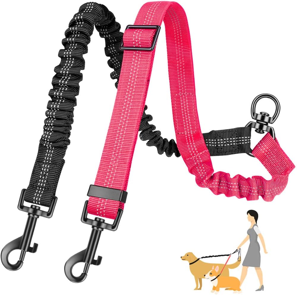 Double dog lead extension being used to walk two dogs without tangling.