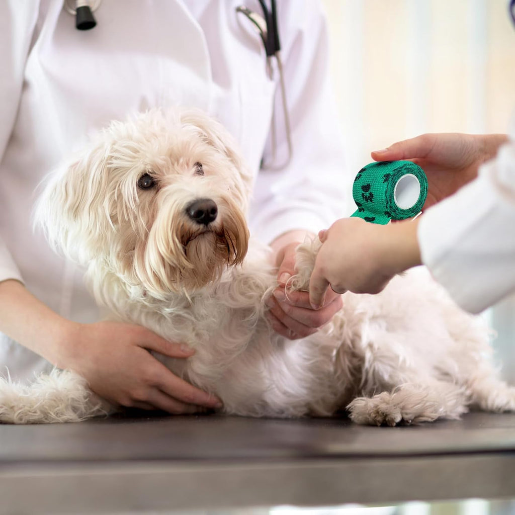 KkvoGmle vet wrap used as protective support for dog leg